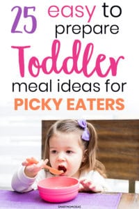 25 Toddler Meal Ideas for the Picky Eater