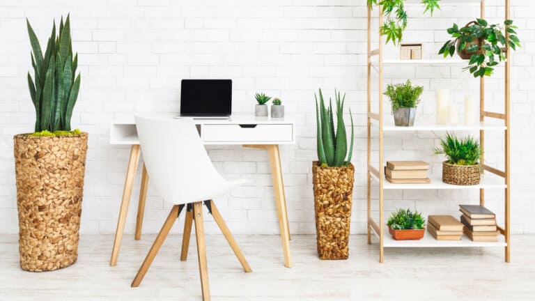 19 Must-Have Desk Chairs With No Wheels to Make Your Office Look Chic